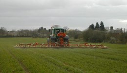 Under sowing, companion cropping and min-till for maize
